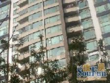 新出世纪公园地铁站2007年电梯一房,停车方便看房方便