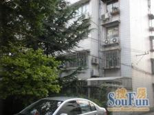适合三代同堂 大露台 多采光好 可拎包入住