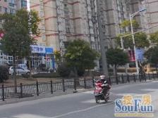 新月锦绣园 2室1厅 南