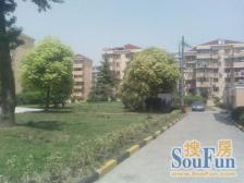 A+本月必卖 南北通外销大两房 电梯景观 随时看房