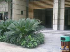 房子是装修房,楼层好,视野看绿化,安静,配套齐全