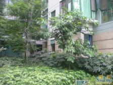 加州新牌坊 北城清迈阳光三房155万