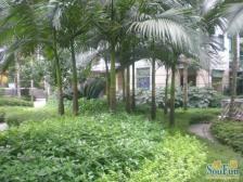 加州新牌坊 北城清迈阳光一房60万