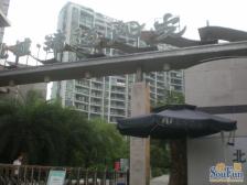 加州新牌坊 北城清迈阳光一房54.5万