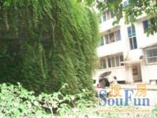 花卉园 黄金堡高级住宅小区七房