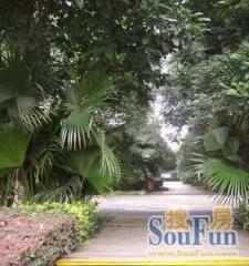 华尔道 2室1厅 南