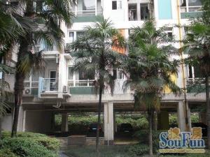 凯蒂阳光 1室0厅 南