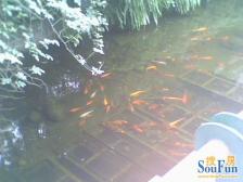 郦景东城 4室1厅 东南