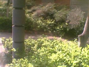 玉双路3号4室2厅东南