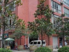 鱼洞 三鼎雅园三房61万