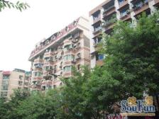 鱼洞 巴县大道五房80万