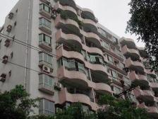 鱼洞 下河路三房19.5万