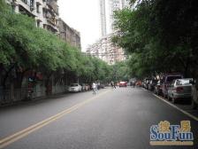 鱼洞主要城区,购物,交通方便,人气旺