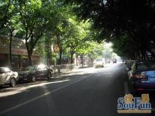 鱼轻路 4室2厅 东南