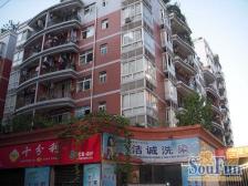 电梯顶跃带屋顶花园 配套成熟 交通便利 人多居住巴适