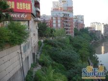 鱼洞 河畔名居A区二房47万