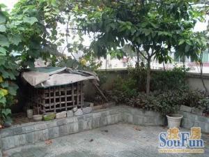 中央花园精一区3室2厅南