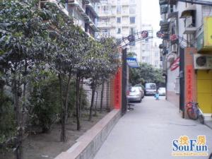 颐园(金牛) 3室2厅 南 北