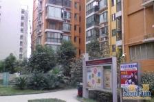 双楠回归线 2室1厅 东北