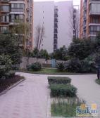 双楠回归线 2室1厅 东