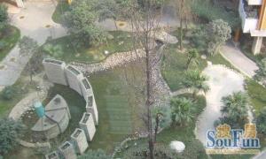 双楠回归线 1室1厅 东