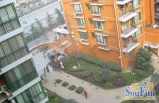 双楠回归线 1室0厅 东南