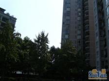 杨公桥 大川花园二房70万