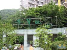 凤天路 芳草地欧式景观园四房113万