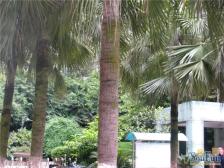 凤天路 芳草地欧式景观园四房180万