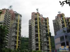 凤天路 芳草地欧式景观园三房130万