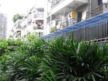 凤天路 芳草地欧式景观园四房140万