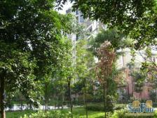 杨公桥 翰林景园二房86万