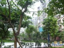 烈士墓精装一房,朝中庭拎包入住