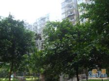 临地铁站 跃层户型 住家3房 户型好 采光好 视野好