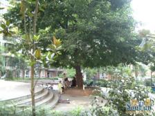 杨公桥 翰林景园四房120万