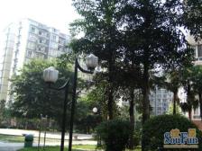 杨公桥 翰林景园五房152万