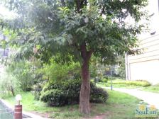 高滩岩九号线金都花园正规大四室两厅一厨两卫带大阳台