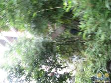 天星桥 金都花园三房140万