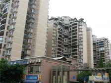 天星桥 金都花园四房142万