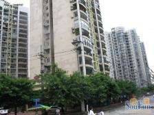 凤天路 金华苑(沙坪坝)三房128万