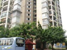 图书馆 凤天路 金华苑 配套成熟 出行便利