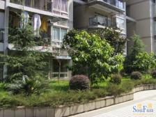 老城区 金马世纪港湾一房21万