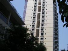 滨江路口口小区电梯房 小户型总价低 配套完善生活方便