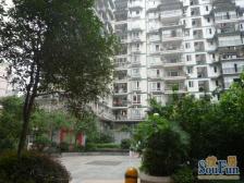 房子户型结构佳,出行购物方便。