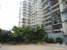 丽锦雅舍 3室1厅 东南