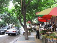 宏华苑 1室0厅 西南