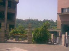 精装3房交通便利 户型方正 视野宽阔