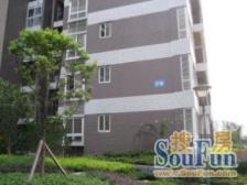 锦绣江南(李家沱) 4室2厅 南 北