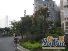 装修保持好+业主安心卖+看房提前联系