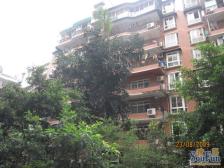 后门就是金沙天街旁边 采光好 户型方正 好地段